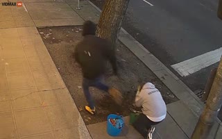 SHOCK VIDEO: Black Man Kicks Random White Woman Gardening In The Face In Seattle, Kicked A Second One In The Face As Well - Videos - VidMax.com
